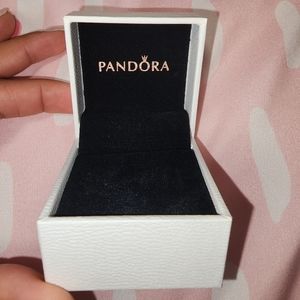 Pandora Jewelry Box